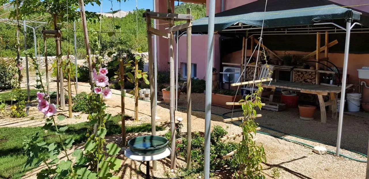 Apartments In Rab - Insel Rab 42670 Barbat na Rabu